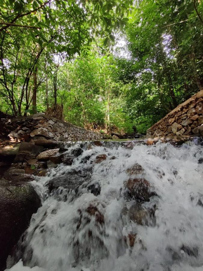 Forest And River Edge Resort Kannur Exterior photo